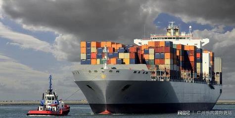 新西兰海运散货拼箱与整柜全面对比 国内货运代理如何选择？